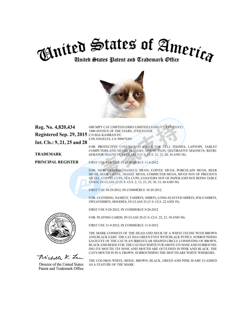 不爽猫 Grumpy Cat发案频繁，HSP律所代理品牌再次维权！