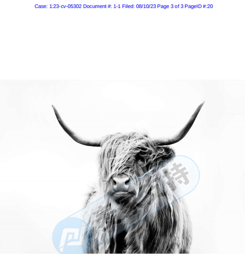 速查!版权画重灾区再发新案！Dorit Maritta Fuhg申请版权维权