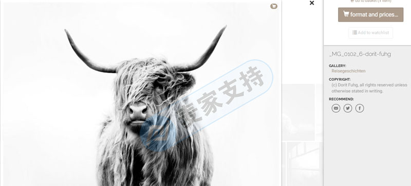 速查!版权画重灾区再发新案！Dorit Maritta Fuhg申请版权维权