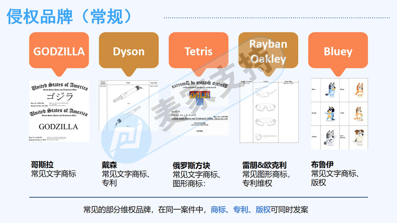 麦家支持受邀出席第二届北方跨境品牌出海峰会就跨境电商TRO侵权问题的若干分享