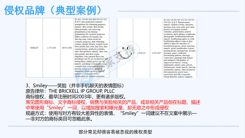 麦家支持受邀出席第二届北方跨境品牌出海峰会就跨境电商TRO侵权问题的若干分享