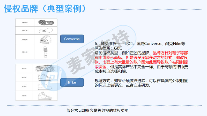 麦家支持受邀出席第二届北方跨境品牌出海峰会就跨境电商TRO侵权问题的若干分享