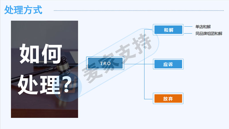 麦家支持受邀出席第二届北方跨境品牌出海峰会就跨境电商TRO侵权问题的若干分享