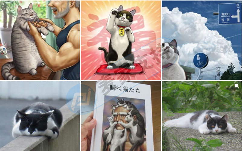 近日首发案件速查~Keith代理Taku Shibata一张秋风里的猫版权连立两案，Xuequan Li专利投影灯维权