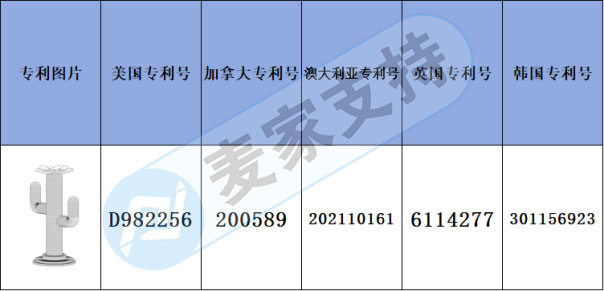 跨境侵权预警——开花的仙人掌猫爬架布局多国专利，侵权风险不小！