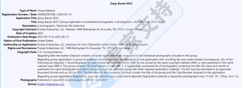 火爆全网的Zazzy Bandz头带发起维权，已延长TRO！大量卖家中招！