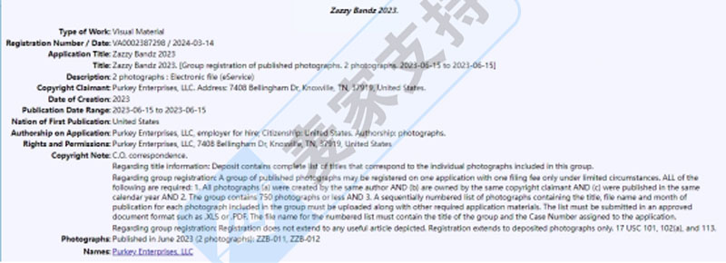 火爆全网的Zazzy Bandz头带发起维权，已延长TRO！大量卖家中招！